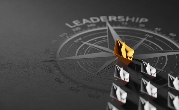 Interim Management